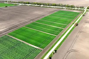 26000 орендодавців