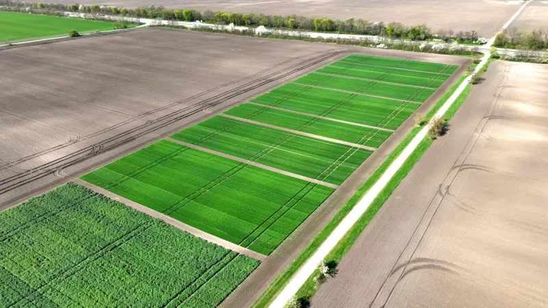 Демо  полігон