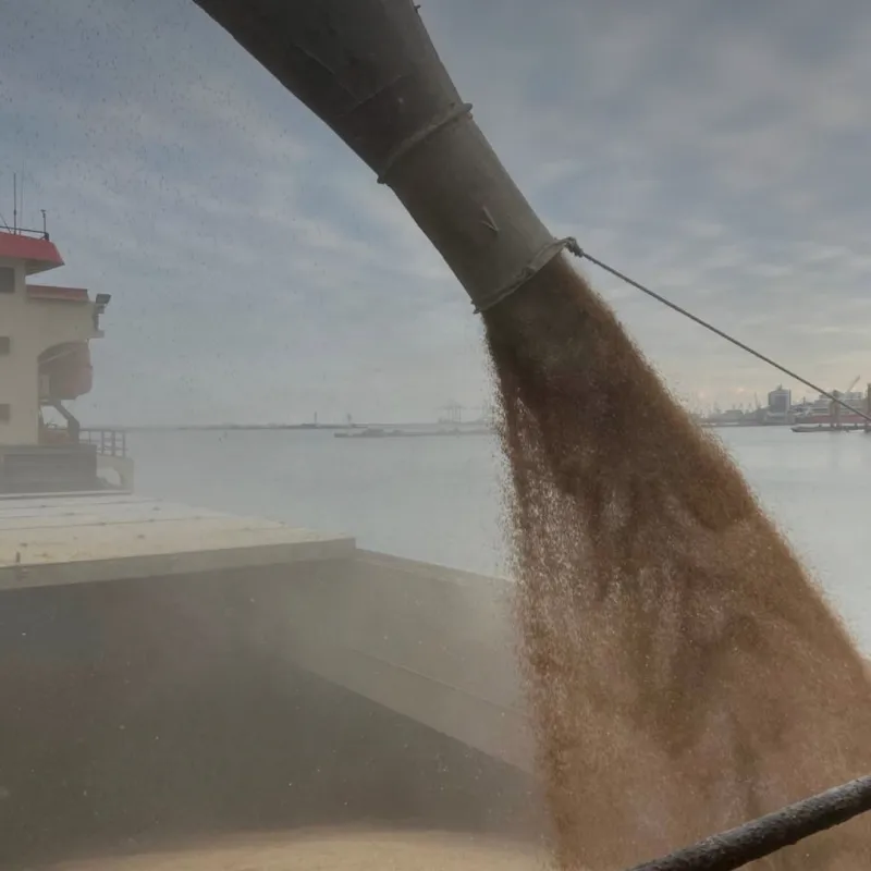 Завантаження зерна на човен