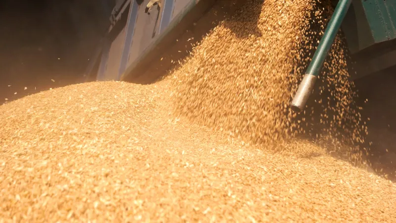 комбікормовий завод