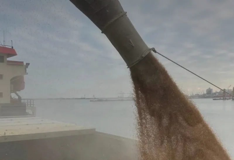 Завантаження зерна на човен